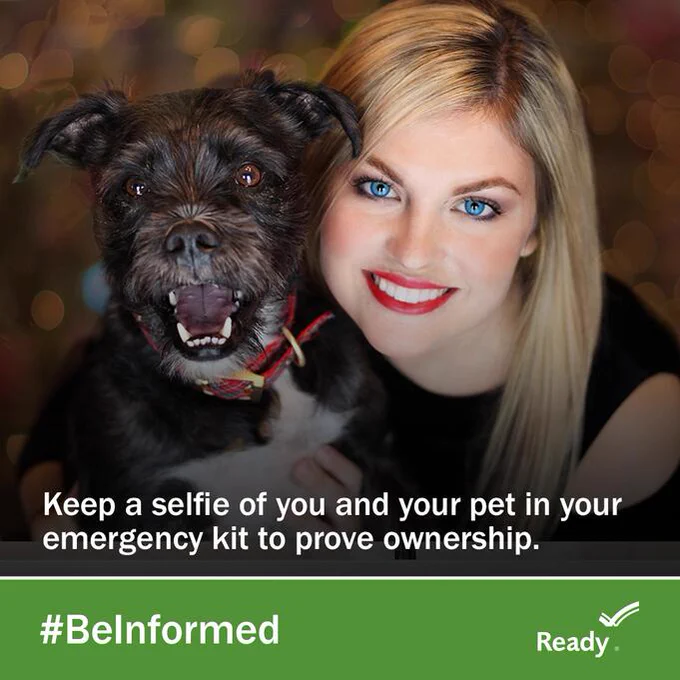 Close-up of a happy black dog with a red collar being held by a person, emphasizing pet ownership for emergency preparedness.