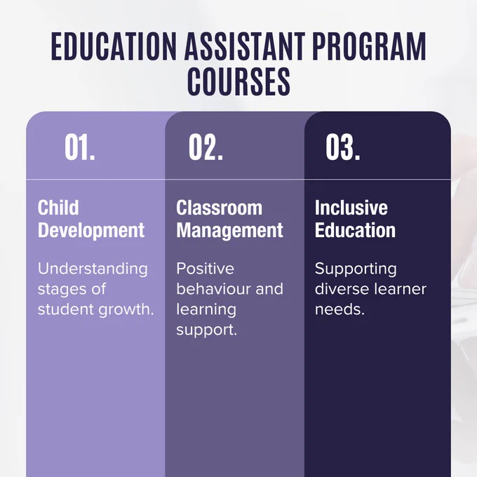 A structured graphic presents three key course areas related to education assistant training, using a clean layout to highlight child development, classroom management, and inclusive education concepts.