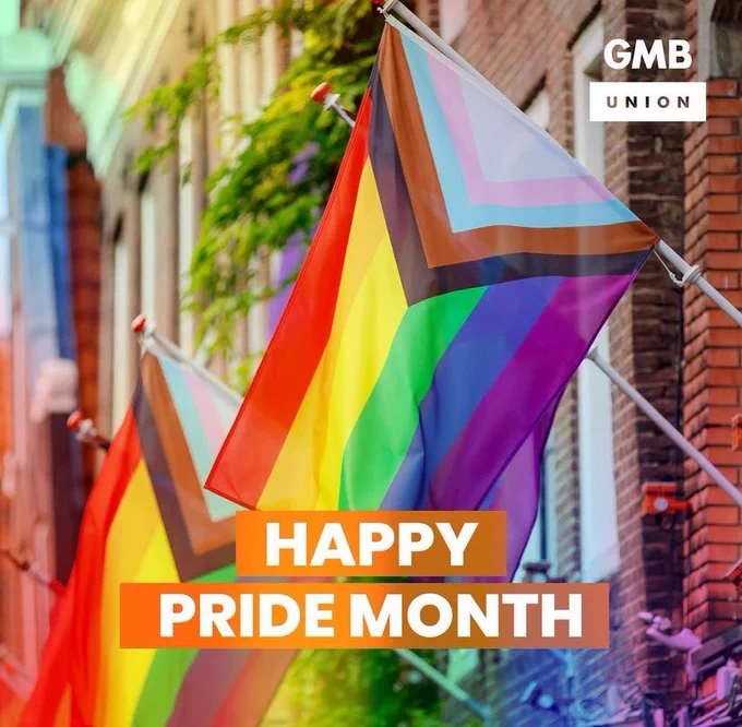 Picture of progress pride flags flying with text - happy pride month - written on top of