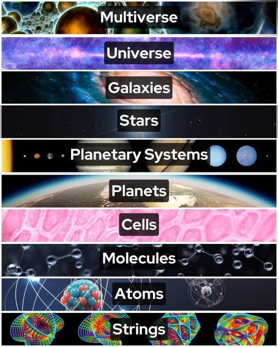 A journey from the smallest to the biggest things in the cosmos:

At the smallest level, String Theory proposes that all matter is made of minuscule, vibrating strands of energy — shaping the fundamental particles and forces that govern reality. 

Atoms, molecules, and cells build up the structure of life, which in turn resides on planets orbiting stars. 

Stars are nested within vast galaxies that form the visible architecture of the cosmos.

Yet even galaxies are just part of something bigger. 

Galaxies group into superclusters, which are woven into immense cosmic webs stretching across the universe. 

And beyond that? Some theories suggest our universe may be just one in a multiverse — a collection of countless universes, each potentially with its own laws of physics. 

From quantum fields to galactic superstructures, every layer we peel back reveals an even grander one, reminding us how vast — and layered — reality truly is.

Image: From Quarks to Quasars