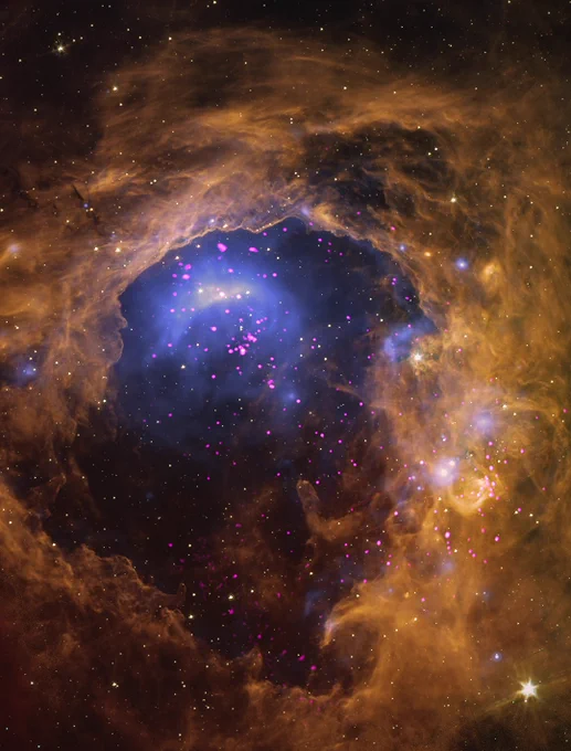 This composite image features two star clusters, viewed through a churning tunnel of golden cloud. The cloud creates a border around the entire image, like a thick swirling smoke ring. Beyond it, in the open center, is a vast field of neon purple specks. These specks are young stars observed by Chandra. Within the central field, two cluster groupings are suggested by separate swirls of faint, steel blue mist. One sits near our upper left. The other is near the bottom right, partially obscured by the golden yellow ring cloud.