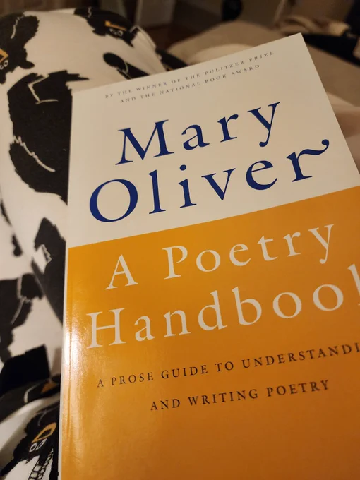 studying poetry 