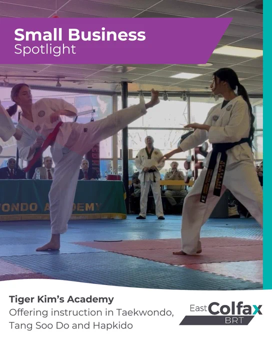 Two martial artists sparring—one executing a high kick. Text overlay reads "Tiger Kim's Academy. Offering instruction in Taekwondo, Tang Soo Do and Hapkido"