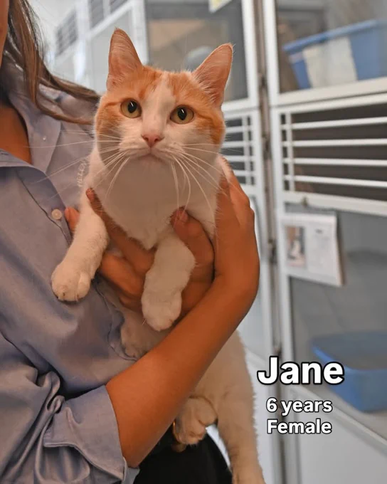 Helen Woodward Animal Center is at Helen Woodward Animal Center.