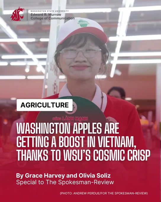 Person wearing a red and white cap and shirt holding a green apple in a brightly lit indoor market setting.