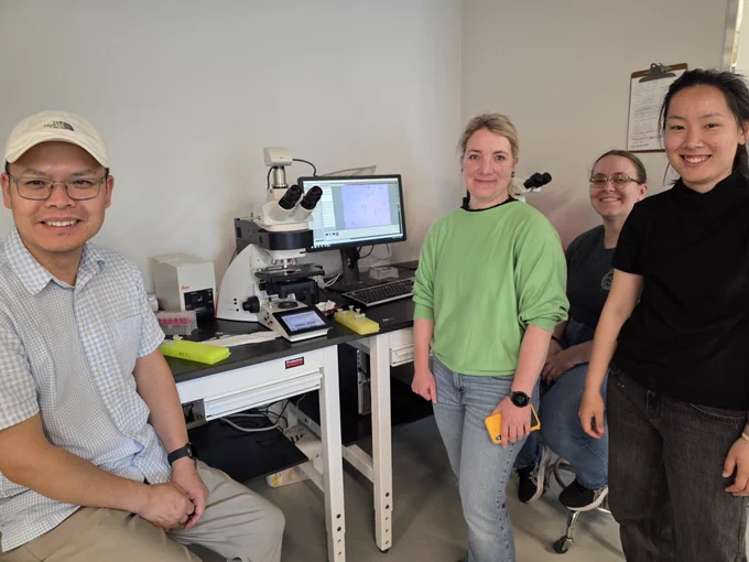 Protoplast transformation with fluorescent genes