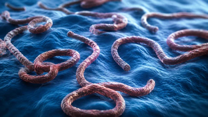 Multiple reddish-brown, textured, serpentine strands are scattered across a dark blue, wavy background. The strands are curved and intertwine, resembling microscopic organisms or cells.