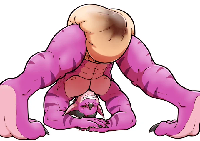 Zora Drakori, the ABDL dragon prince, is bending over so that his head and arms are touching the floor and his padded ass is up in the air. He looks at the viewer from between his legs and shits his diaper. He grunts and grits his teeth as he pushes everything out, and the diaper bulges as it starts to fill up.

Speaking of which, the diaper, cloth to be exact, is the only thing that Zora is wearing, which gives the viewer a good look at his muscles. He is doing all of this in front of a plain white background.