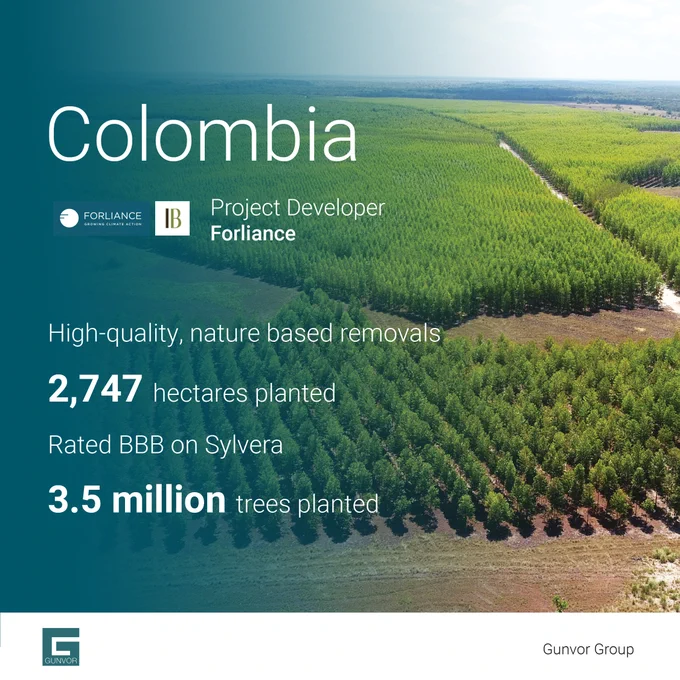 Image of new trees planted across acreage in Colombia. 

Forliance logo and text "Project Developer Forliance"
High-quality, nature-based removals
2,727 hectares planted
Rated BBB on Sylvera
3.5 million trees planted