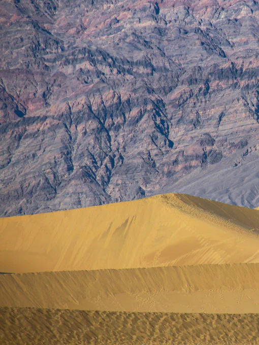 Dunes at Mesquite Flat in Death Valley National Park, with smooth golden curves in the foreground and rugged, multicolored mountains in the distance under clear desert light.