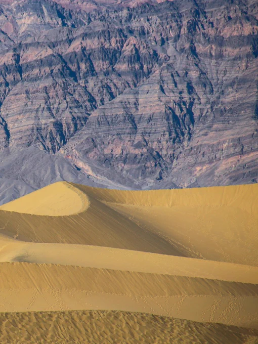 Dunes at Mesquite Flat in Death Valley National Park, with smooth golden curves in the foreground and rugged, multicolored mountains in the distance under clear desert light.