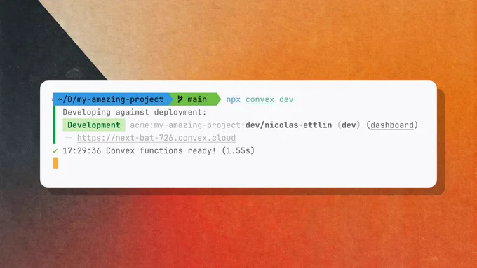 A terminal screenshot with the text:

npx convex dev
Developing against deployment:
[Development] acme:my-amazing-project:dev/nicolas-ettlin (dev) (dashboard)
https://next-bat-726.convex.cloud

✅ 17:29:36 Convex functions ready! (1.55s)