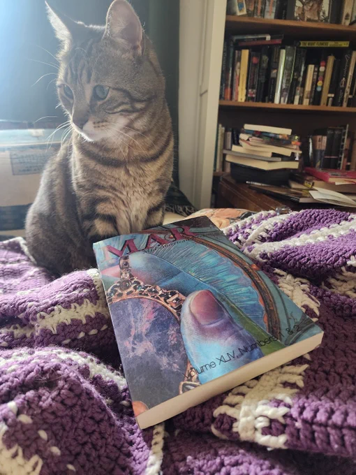 Tabby cat next to the latest issue of the literary magazine MAR (Mid-American Review).