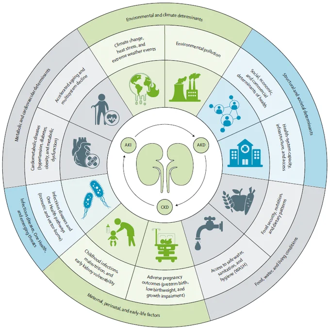 Figure showing complex and inter-related social determinants contribute to the rising burden of kidney disease. CKD=chronic kidney disease AKI=acute kidney injury. AKD=acute kidney disease. WASH=water, sanitation, and hygiene. Copyright: 2026 Elsevier Ltd. All rights reserved.