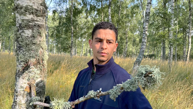 Lichens are used as indicators of biodiversity in forest ecosystems