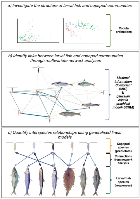 Figures showing fish and copepod communities for network analysis
