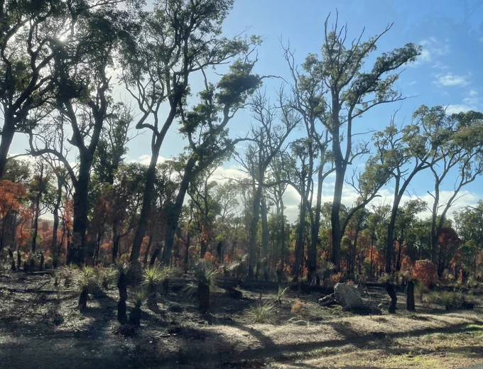 The roadside toward Brookton - Vipassana centre. 29 May 2026