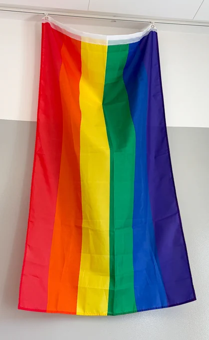 A traditional rainbow Pride flag.