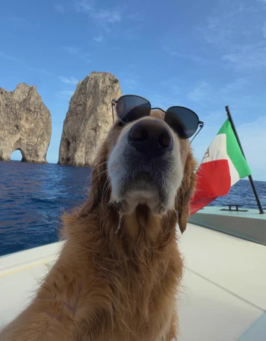 in the final photo, Bagel wears sunglasses while on a boat in front of The Faraglioni in Italy. he truly has no bad angles.
