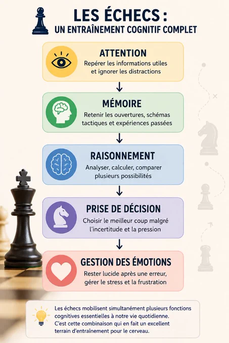 🗨 « Les échecs sont un formidable exemple de la complexité du fonctionnement cérébral, car ils mobilisent simultanément plusieurs fonctions cognitives de haut niveau. » Mélissa Kemel, neuropsychologue.

La première est l'attention. Pendant une partie, le joueur doit rester concentré sur l'échiquier, filtrer les distractions et maintenir son attention parfois durant plusieurs heures. Cette capacité est essentielle, car une simple baisse de vigilance peut suffire à laisser échapper une menace ou une opportunité tactique.

La mémoire joue également un rôle majeur, mais il ne s'agit pas uniquement de mémoriser des ouvertures. Les joueurs expérimentés développent progressivement une immense bibliothèque de positions, de schémas tactiques et de configurations stratégiques. Lorsqu'ils analysent une position, ils ne repartent pas de zéro : leur cerveau reconnaît des motifs déjà rencontrés et active automatiquement des connaissances acquises au fil des années.

La mémoire de travail est égalem