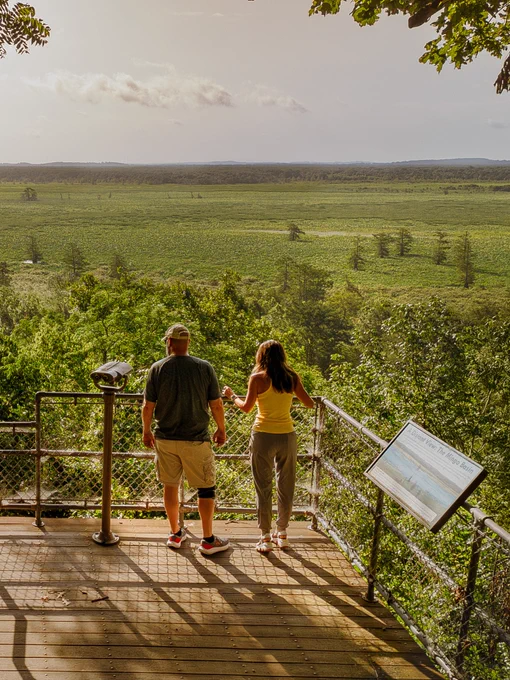 Mingo National Wildlife Refuge

