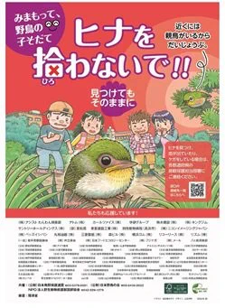 令和８年度ヒナを拾わないで！！ポスター（日本鳥類保護連盟ホームページより）