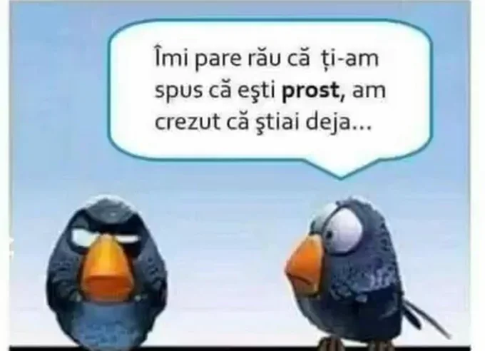 Mesaj către România! Și români #euiesinstrada #miscareadestul 