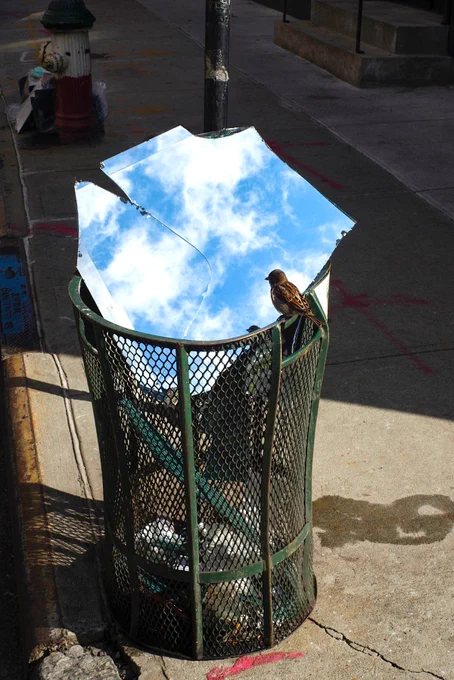 eric kogan, street photography, photography, image