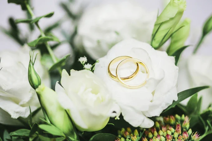 Two gold wedding rings resting on a white rose surrounded by green foliage and buds.