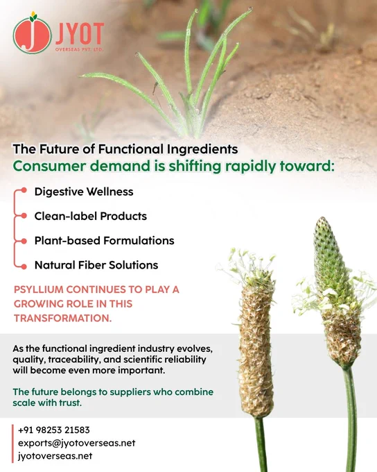 Consumer demand is shifting rapidly toward:
• digestive wellness
• clean-label products
• plant-based formulations
• natural fiber solutions