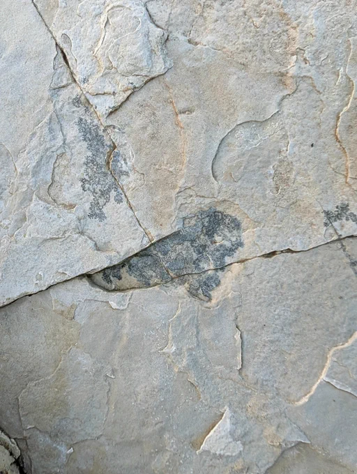 Rock Texture 