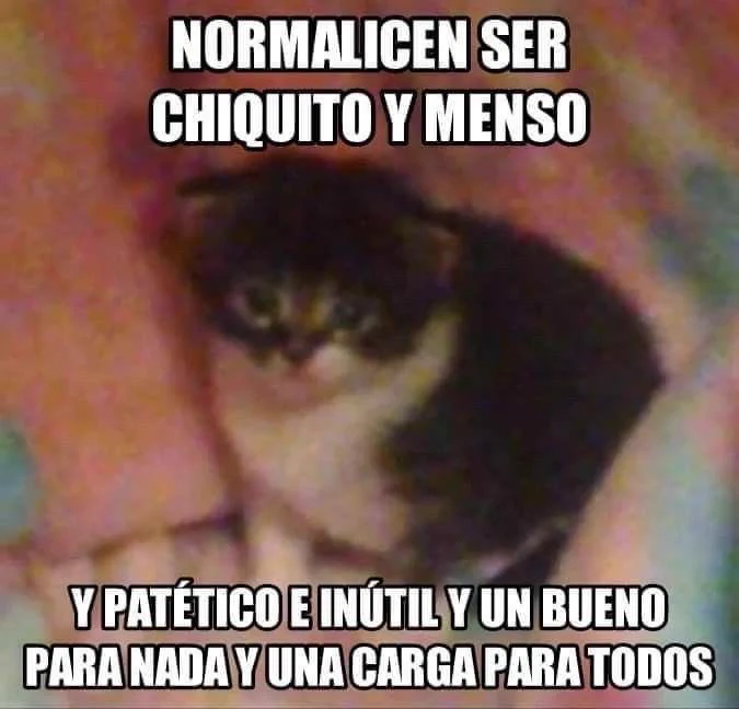 gato OZTIAS