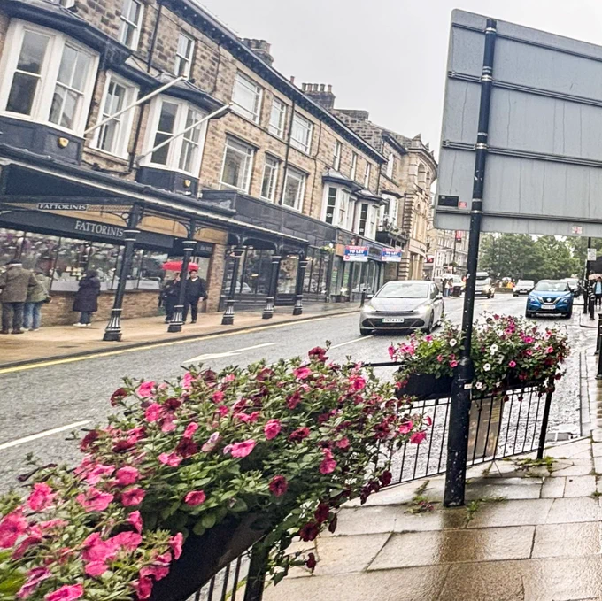 A wet street with shops and cars, featuring colourful flower planters in the foreground.