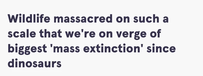 Wildlife massacred on such a scale that we're on verge of biggest 'mass extinction ' since dinosaurs