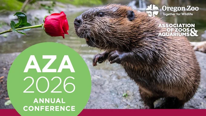 Beaver with rose, promoting AZA 2026 Conference at Oregon Zoo, September 26–October 1.