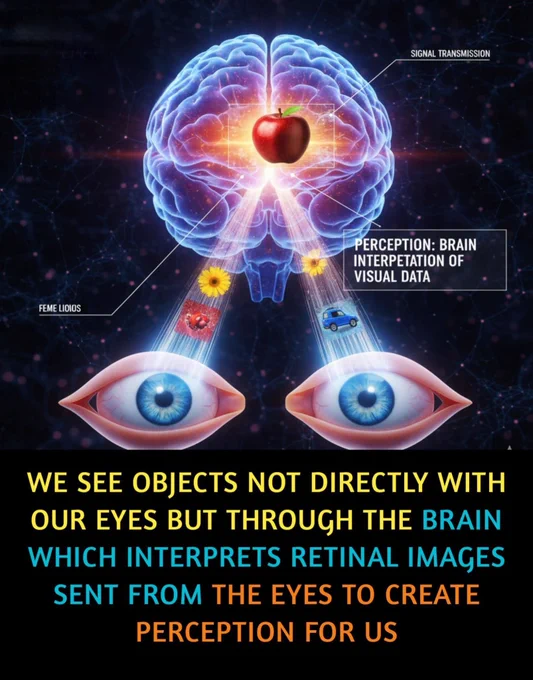 👁️ The Mind-Blowing Truth About How We Really See the World

Most of us think our eyes are doing all the work when we look around—but the real story is far more amazing. Your eyes are just the messengers. The real act of seeing happens deep inside your brain. When light hits your eyes, it turns into raw data—nothing but colors and shapes with no meaning. Then millions of tiny nerve cells rush this information to your brain, and that’s where the magic begins.

Your brain decodes every signal, fills in missing details, recognizes faces, understands depth, and builds the entire picture you think you’re seeing. That’s why optical illusions fool us, dreams feel real, and our memories of what we “saw” can change over time. We don’t actually see the world as it is—we see the world as our brain interprets it.

And the wildest part? This whole process happens in a fraction of a second. Light, color, movement, distance—your brain analyzes all of it instantly to create the reality you experience