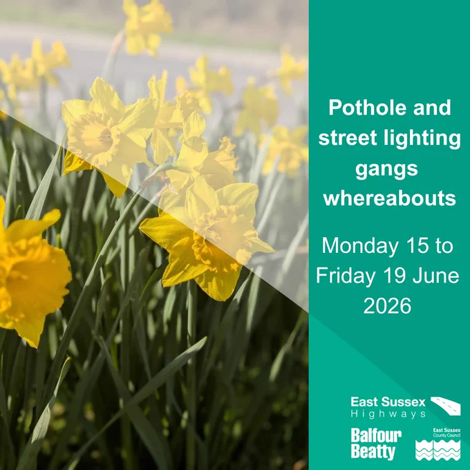 A field of bright yellow daffodils in sunlight with a green overlay on the right. Text reads: "Pothole and street lighting gangs whereabouts Monday 15 to Friday 19 June 2026." Logos for East Sussex Highways and Balfour Beatty are visible.