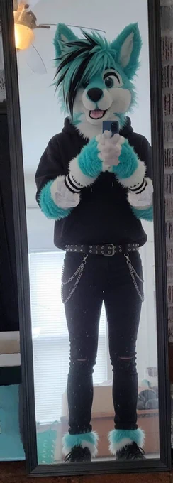 Dog furry dressed in emo style