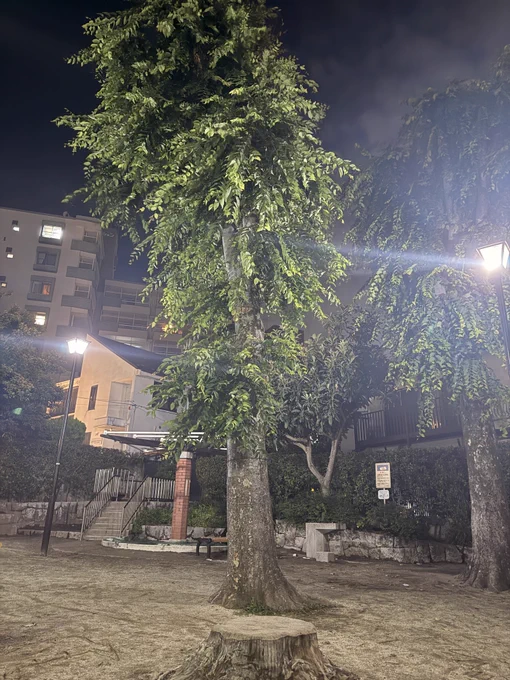 おしかわ公園（大事な話をするときは大体ここに来る）