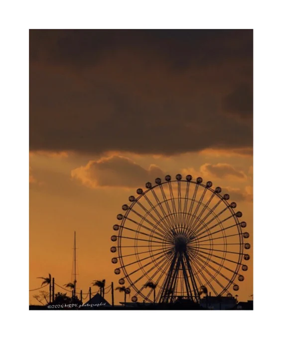 ALT :  ⬇️

A silhouette of a large Ferris wheel set against a dramatic sunset sky by dusk. The lower half of the sky glows with warm orange and amber hues, while heavy, dark gray clouds hang tightly above. In the lower foreground, the dark outlines of palm trees, a thin antenna tower, and distant structures are visible along the horizon line.

📷:  Olympus Pen EPL10 using 
an Olympus M.Zuiko ED 40-150mm f/4-5.6 R

撮影地:  千葉県松戸市(Matsudo-city, Chiba-prefecture)

©2026 MRP. Yamamoto | photographié

.