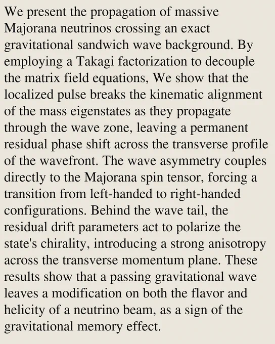 We present the propagation of massive Majorana neutrinos crossing an exact gravitational sandwich wave background. By employing a Takagi factorization to decouple the matrix field equations, We show that the localized pulse breaks the kinematic alignment of the mass eigenstates as they propagate through the wave zone, leaving a permanent residual phase shift across the transverse profile of the wavefront. The wave asymmetry couples directly to the Majorana spin tensor, forcing a transition from left-handed to right-handed configurations. Behind the wave tail, the residual drift parameters act to polarize the state's chirality, introducing a strong anisotropy across the transverse momentum plane. These results show that a passing gravitational wave leaves a modification on both the flavor and helicity of a neutrino beam, as a sign of the gravitational memory effect.