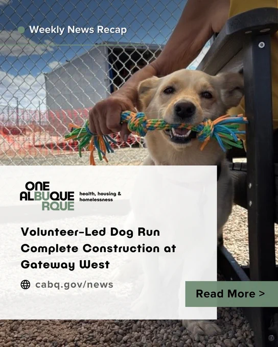 A resident pup at Gateway enjoys an enrichment toy at the new dog run.