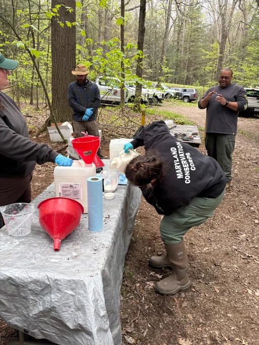 MCC Crew member Hannah Moore carefully measures pesticide with Forestry’s Alanna Crowley, under the supervision of MDA’s Patrick Simons and Daniel Lewis.