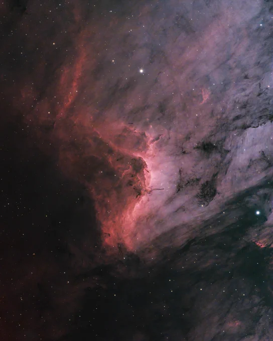 The Pelican Nebula
