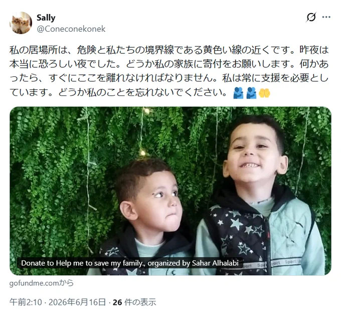 Sallyさんが寄付を呼びかける投稿のスクリーンショット。
寄付サイトGoFundMeのサムネイルは二人の息子たちの写真。

「私の居場所は、危険と私たちの境界線である黄色い線の近くです。昨夜は本当に恐ろしい夜でした。どうか私の家族に寄付をお願いします。何かあったら、すぐにここを離れなければなりません。私は常に支援を必要としています。どうか私のことを忘れないでください。🫂🫂🤲　2026年6月16日午前2:10」