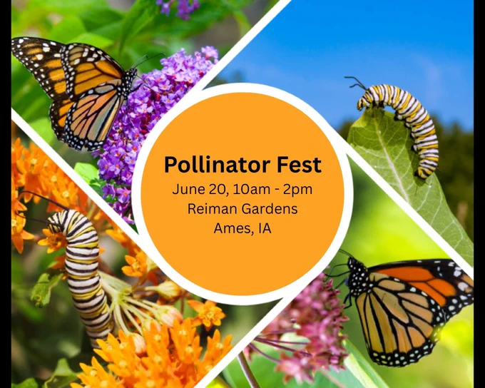 A flyer for Reiman Gardens’ Pollinator Fest on Saturday, June 20th from 10am – 2pm. Additional details can be found on the IMCC events website linked in post.