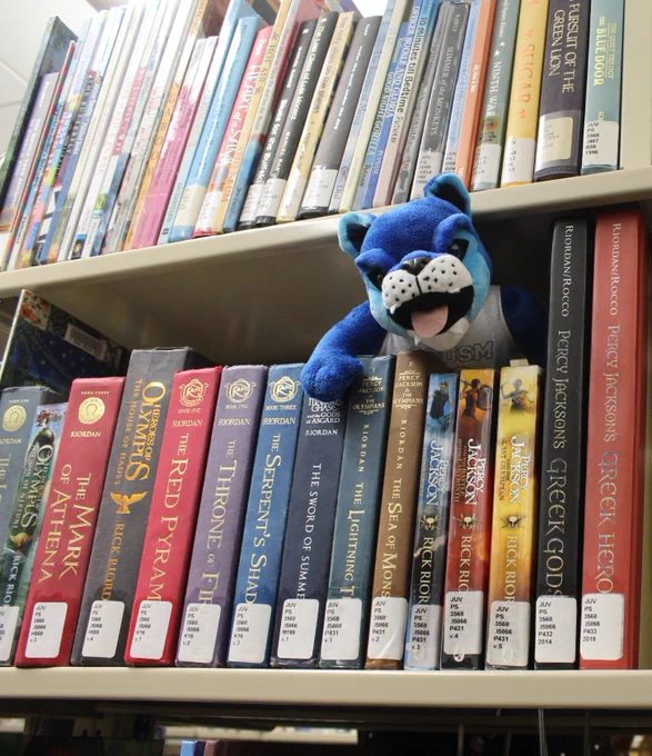Stuffed animal peeking out of books on shelf