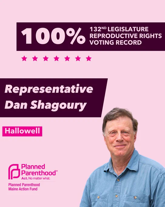 The words "100% 132nd legislature reproductive rights voting record" in light pink font on a maroon rectangle on the top right with a light pink background. Below the rectangle are seven bright pink stars. A photograph of Representative Dan Shagoury is below on the right. To the left "Representative Dan Shagoury" is written in light pink font on a maroon rhombus and "Hallowell" is written below in light pink font on a bright pink background. On the bottom left is the Planned Parenthood Maine Action Fund logo in pink.