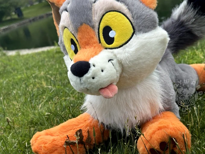 Close up of yote plush face, tongue sticking out the side of his mouth. big yellow eyes.