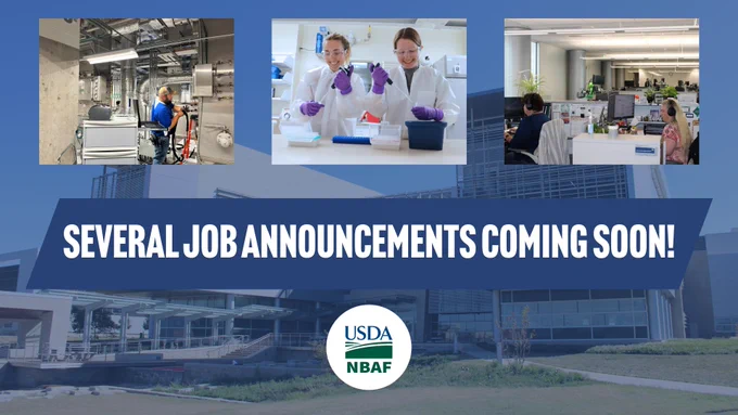 Job Announcements Coming Soon